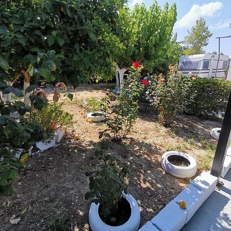 Green Garden Caravan Hotel Agrilia Kültér fotó