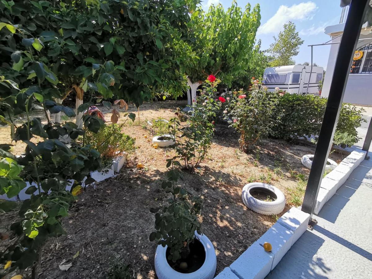 Green Garden Caravan Hotel Agrilia Kültér fotó